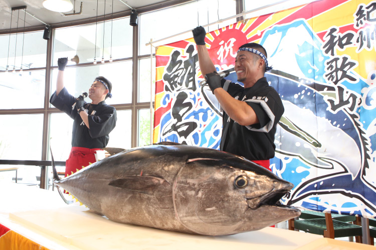 HCD2025：マグロ解体ショーの写真