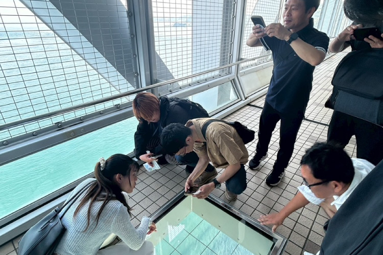 「渦の道」で硝子床を覗き込む参加者の写真